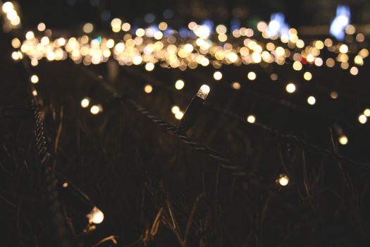 Transform Your Garden: The Magic of LED Lighting for Outdoor Spaces
